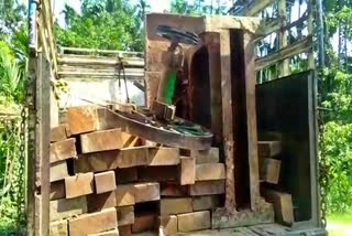 Sawmill and illegal wood seized in Jania