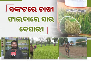 urea-shortage-hits-farming-in-bargarh-district