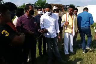 sandeep kshirsagar visit damaged farm beed