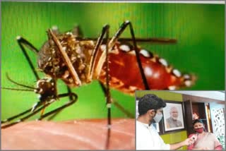 dengue and malaria in delhi 50 new cases reported last week