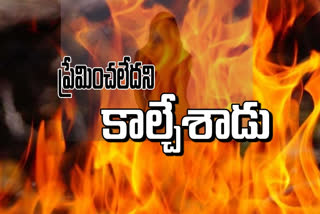 woman set on fire in vijayawada