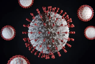 The coronavirus COVID-19 is affecting 214 countries and territories
