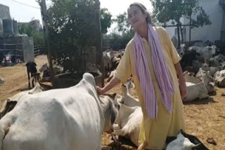 Young German girl to Sudevi Mataji; a journey of love with cows