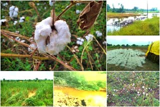 Farmers In Marathwada