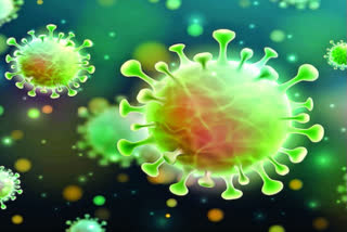 ملک میں کورونا وائرس کے نئے کیسز میں مسلسل کمی