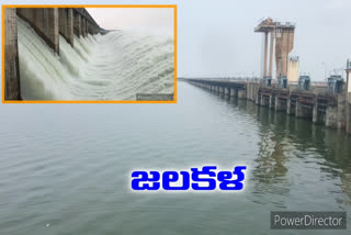 heavy water flow to sriram sagar project in nizamabad district