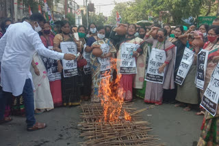 tmc rally at siliguri