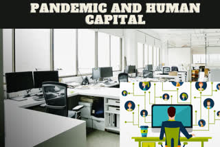 COVID-19 pandemic and Multidisciplinary Human Capital