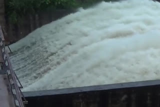 crop damage with heavy rain in Vizianagaram