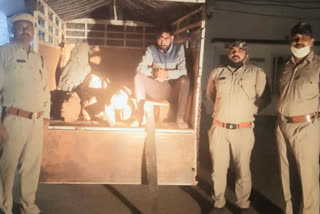 Forest Department arrested a person with wooden carriage in Nalagarh