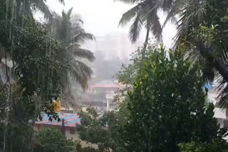 heavy rainfall in mangalore,kodagu and udupi.