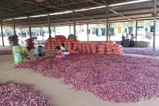 cost price to Onion in kurnool market