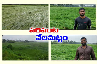 heavy rain suryapeta district paddy farmers into trouble