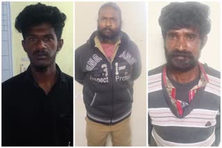 Two arrested in coonoor for planting cannabis planting