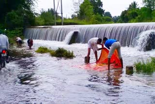 lakes over flow in vijayapur district