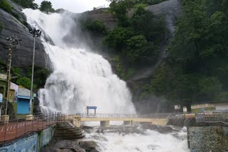 குற்றாலத்தில் வெள்ளப்பெருக்கு