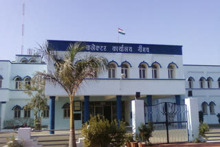 Collector Office