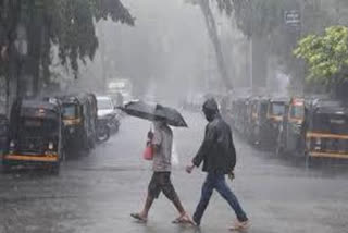 കേരള മഴ വാർത്ത  മഴ കനക്കുന്നു  കേരളം മഴ  kerala rain updates  kerala rain news  rain news kerala  kerala yellow alert news