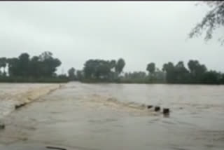 heavy rains in kamareddy... heavy loss of crops