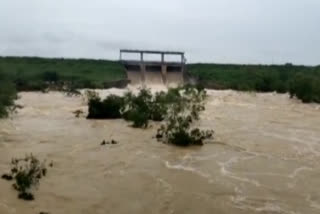 Heavy water storage in  thammileru project with rains in krishna district