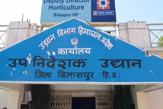 horticulture department in Bilaspur