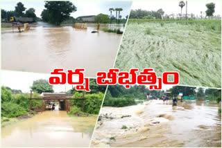 heavy crop damaged with rains in west godavari district
