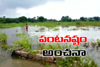 crop loss records by officials at yadadri district