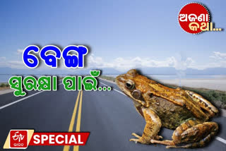 Bonn city of Germany, frogs are being protected, people make frogs cross the road, protection of frogs, unknown facts, ଅଜଣା କଥା,  ବେଙ୍ଗଙ୍କୁ ରାସ୍ତା ପାରି କରାନ୍ତି ଲୋକ, ଜର୍ମାନୀର ବନ୍‌ ସହର, ବେଙ୍ଗଙ୍କ ସୁରକ୍ଷା, ବେଙ୍ଗଙ୍କ ପାଇଁ ସୁଡ଼ଙ୍ଗ