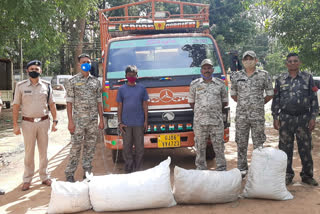 weed Recovered at kondagaon