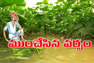 crop damage in ap