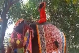 Yoga guru Ramdev baba fell off an elephant, Video went viral