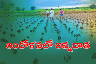 Crop loss due to heavy rains in the telangana is Rs 1,500 crore