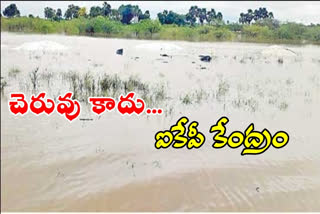 Stained grain in IKP centers for heavy rains in Telanagana