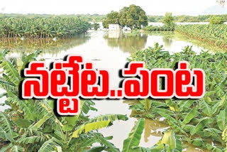 rains at guntur district