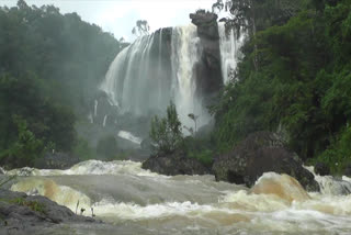 idukki  waterfalls  idukki waterfalls  tourists  ഇടുക്കി  വെള്ളച്ചാട്ടങ്ങൾ  ഇടുക്കിയിലെ വെള്ളച്ചാട്ടങ്ങൾ  തുലാവർഷം  ഡി.റ്റി.പി.സി.  ഹൈറേഞ്ചിന്‍റെ അതിരപ്പള്ളി  നം മയക്കുന്ന കാഴ്‌ച