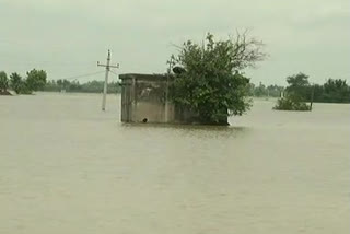 heavy-water-floods-in-kollur-guntur-district