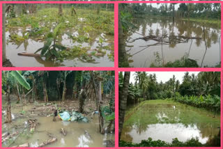 Officials assessed the damage to submerged farms in Konaseema