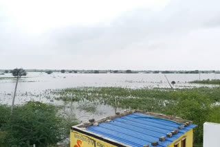 Flood fear in Yadagiri district