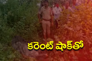 women died due to current shock at kamanpur in peddapalli district