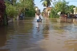 crops, roads damaged with heavy rains in krishna district