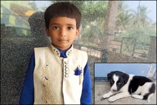 hubballi-dog-missing-case-boy-request-to-search