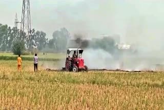 stubble burning