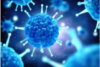 Puducherry adds 245 new coronavirus cases two deaths take toll to 570. Puducherry corona updates union terrotories covid updates പുതുച്ചേരി കൊവിഡ് കണക്കുകൾ കൊവിഡ്19