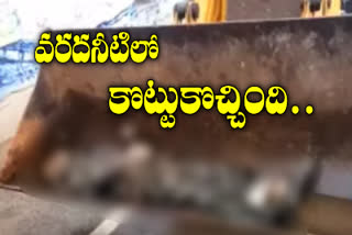 unknown dead body found at cyberabad flood water in hyderabad