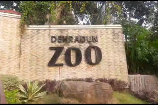 dehradun zoo