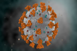 Ladakh records 66 new coronavirus cases  Ladakh  corona virus  ലഡാക്കില്‍ 66 പേര്‍ക്ക് കൂടി കൊവിഡ്  കൊവിഡ് 19  ലഡാക്