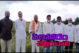 Govt immediatly sanction  Compensation to farmers  croploss with flood