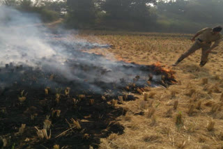 stubble burning in narela delhi
