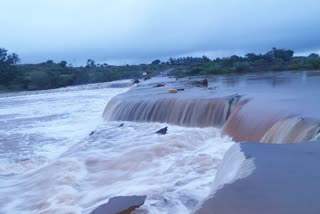 चंद्रभागेला महापूर