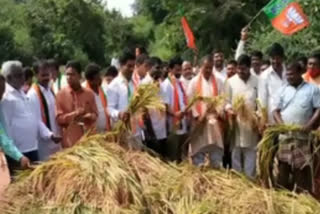 bjp leaders Tour in Vikarabad District Parigi